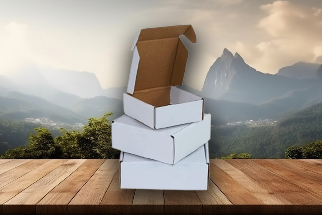 Plain White Corrugated Boxes Manufacturer, Dealer & Retailer in Jaipur, Rajasthan