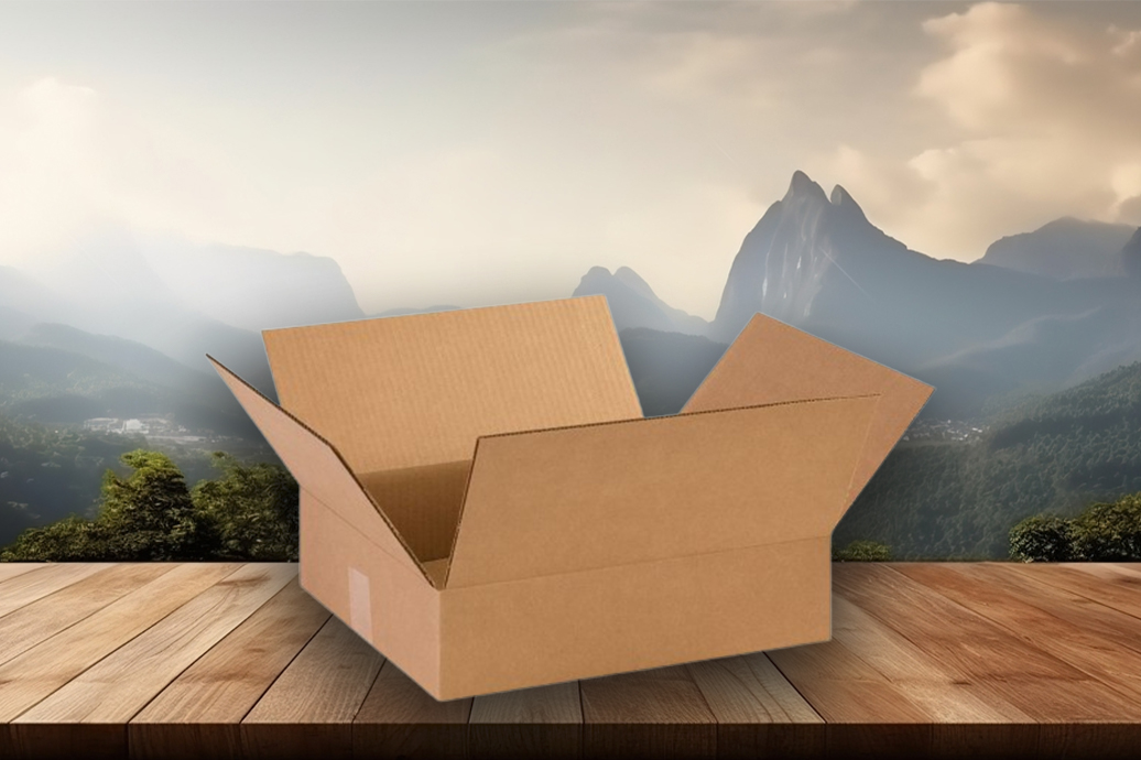 Ply Corrugated Box Manufacturer, Dealer & Retailer in Jaipur, Rajasthan