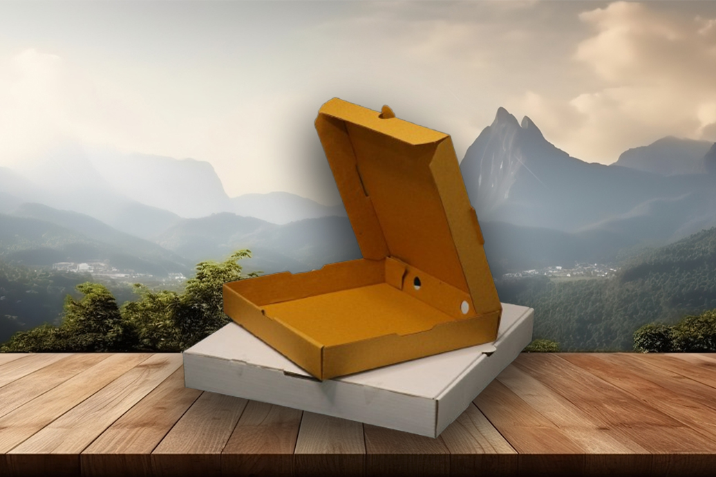 Pizza Box Manufacturer, Dealer & Retailer in Jaipur, Rajasthan